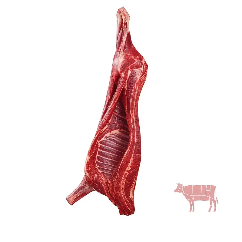 لاشه گوساله تازه | گوشتچی