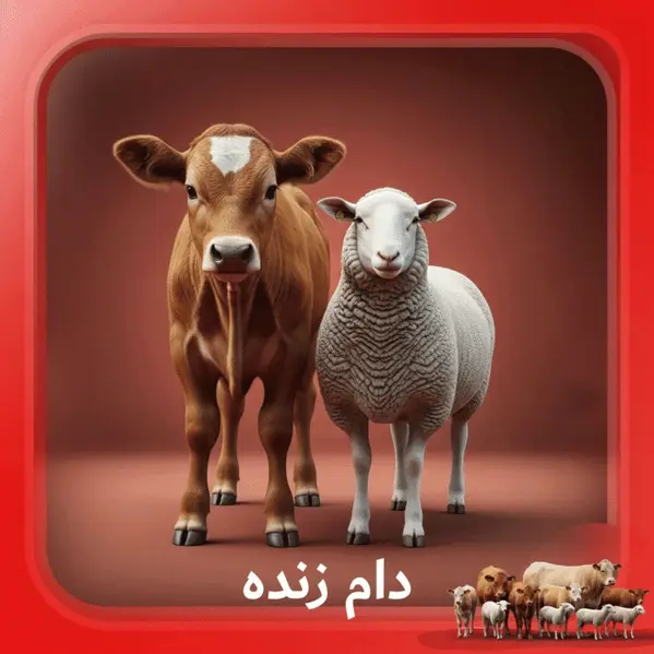 gooshtchi Dam 768x768 1 78 | گوشتچی