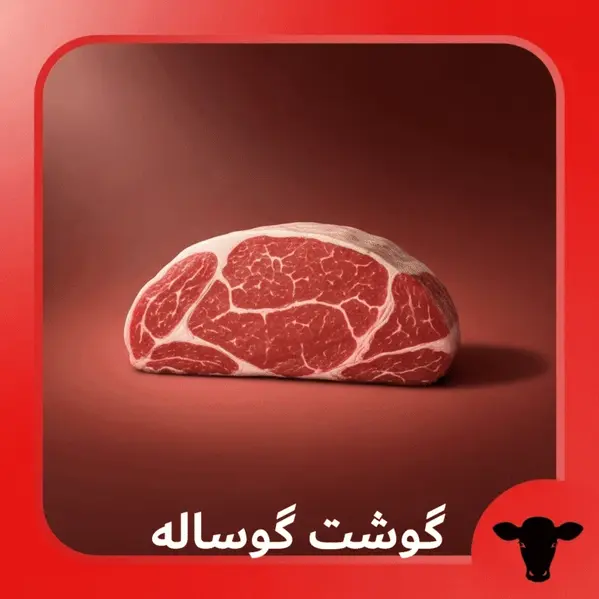 gooshtchi beef 768x768 1 78 | گوشتچی