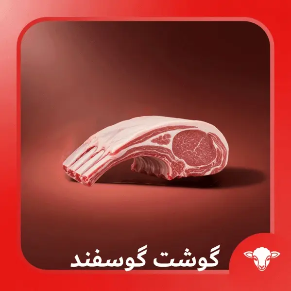 gooshtchi lamp 768x768 1 78 | گوشتچی