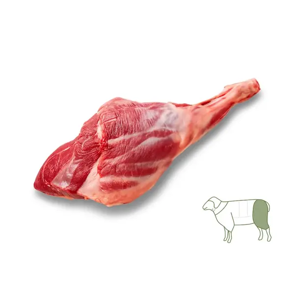 ران گوسفند | گوشتچی