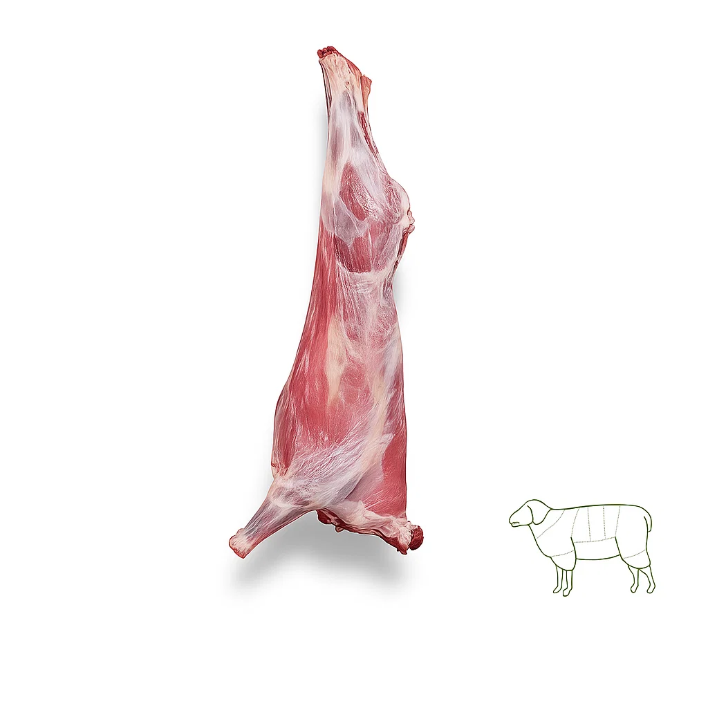 شقه گوسفند | گوشتچی