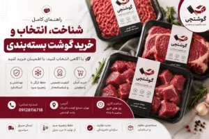 راهنمای کامل شناخت، انتخاب و خرید گوشت بسته بندی