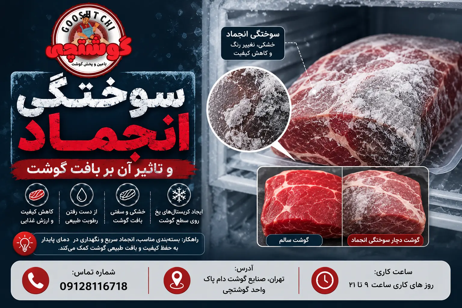 علت تغییر رنگ گوشت قرمز در فریزر و راهکار جلوگیری | گوشتچی