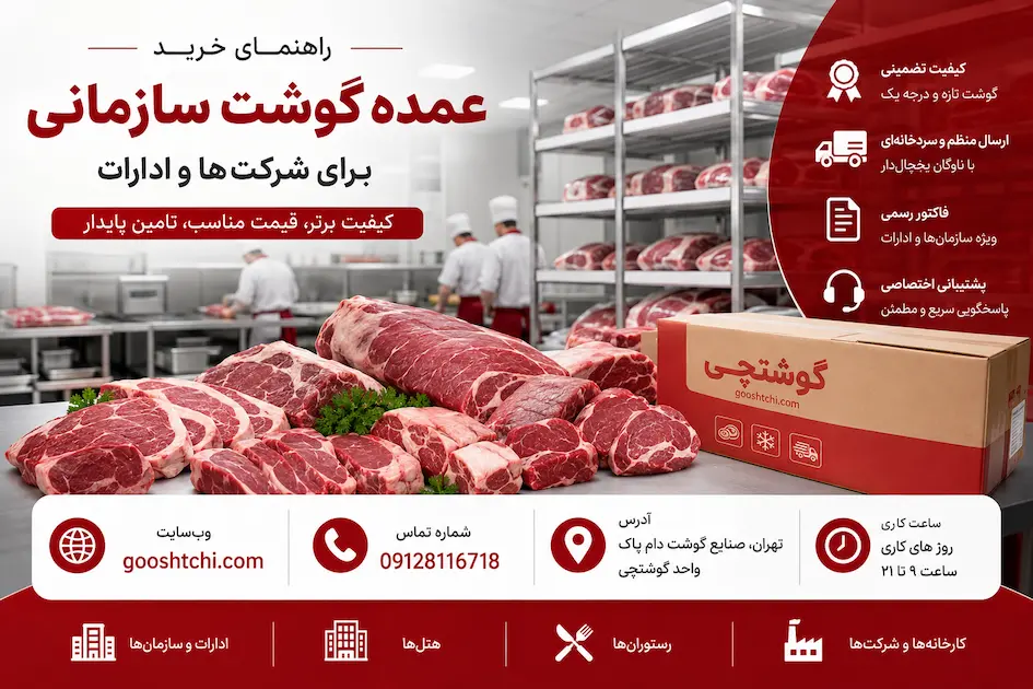 راهنمای خرید عمده گوشت سازمانی برای شرکت‌ها و ادارات