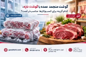 گوشت منجمد عمده یا گوشت تازه، کدام گزینه برای کسب وکارها مناسب تر است؟